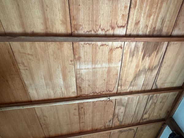 雨漏りによる天井のシミ