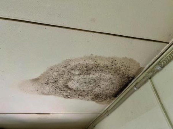 雨もりでできた天井のシミ