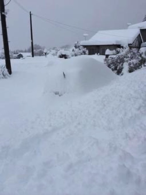 雪に埋もれる住宅と庭