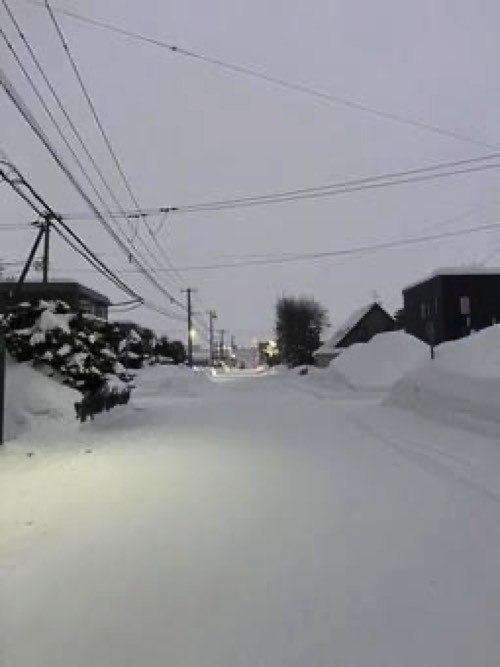 雪が積もった道路