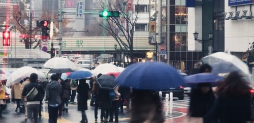 大雨の風景
