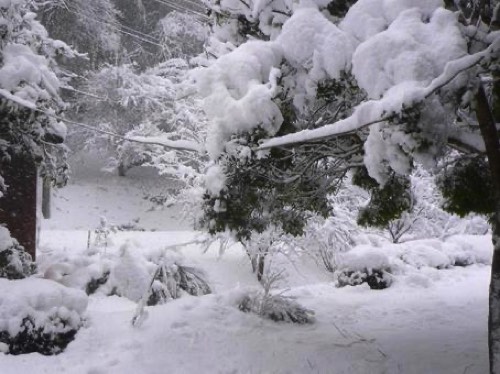 大雪・豪雪