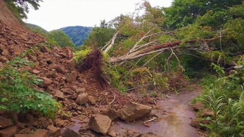 土砂崩れと倒木