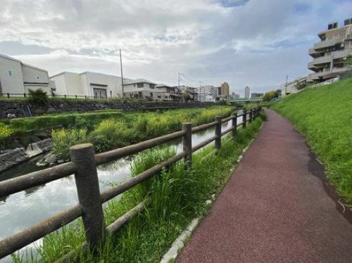 河川付近の歩道