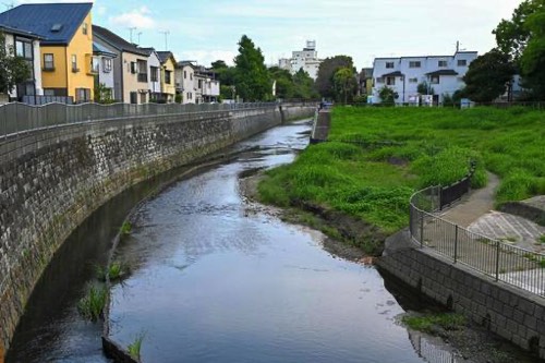 住宅地付近の河川