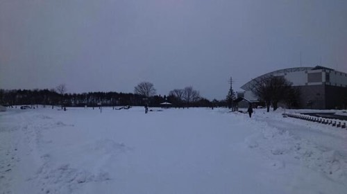 寒い冬の体育館