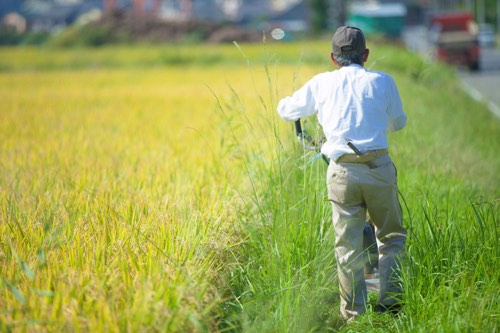 被災後に心配で田んぼと畑を確認しに来るお年寄り