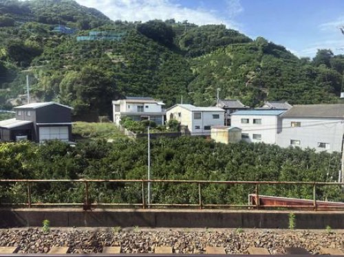 山沿いの住宅地