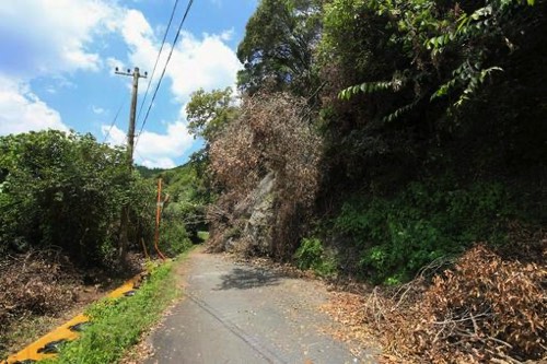 山間の崖崩れ