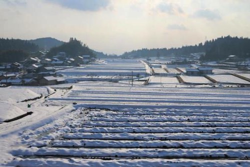 大雪で孤立した住宅地