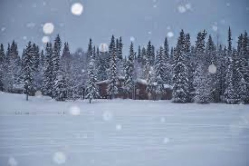 大雪の広野の景色