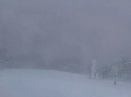 スキー場でのホワイトアウト