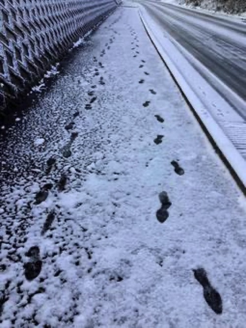 凍結で滑りやすい歩道