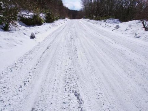 凍結で滑りやすい車道