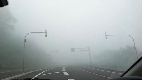 濃霧の車道