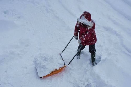 除雪する人物