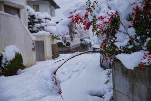 住宅地の積雪