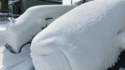 1mを超える豪雪
