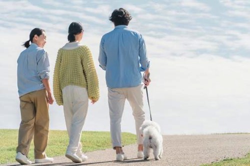 犬との散歩