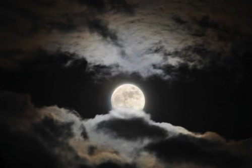 夜と満月