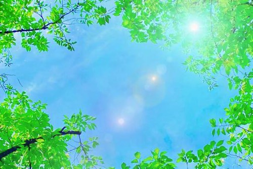 夏