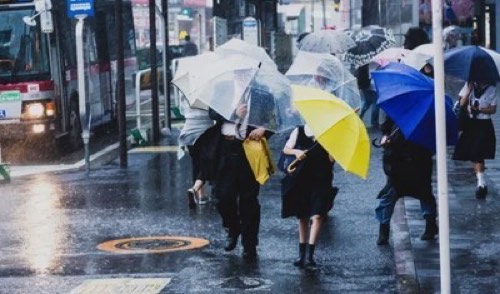 災害 被害状況 説明用 フリー写真 商用利用OK