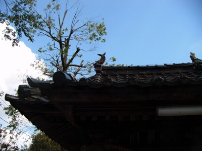 富山県高岡市古定塚熊野神社屋根瓦補修工事