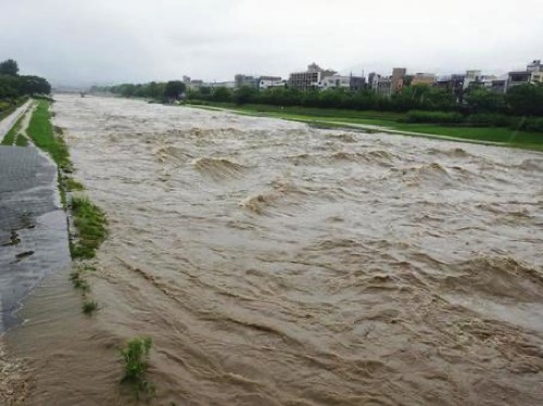 豪雨により水量が多くなった河川