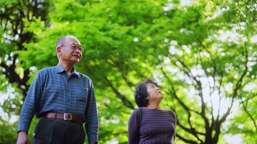 仲良く歩く高齢夫婦