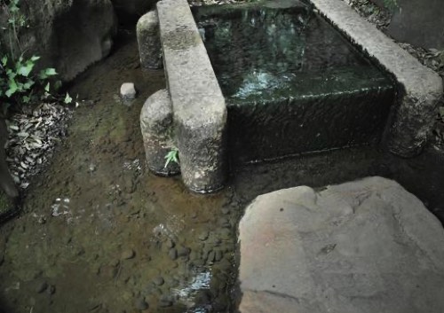 あふれる井戸湧き水
