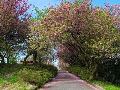 富山県高岡市の観光名所