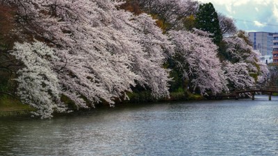 富山県高岡市の観光名所