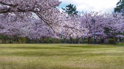 富山県高岡市の観光名所