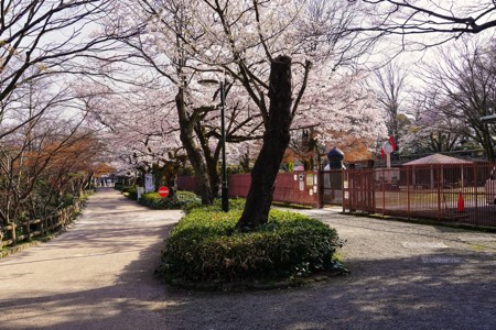 富山県高岡市の観光名所