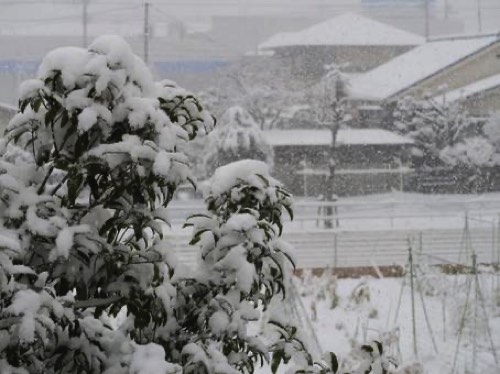 大雪の風景