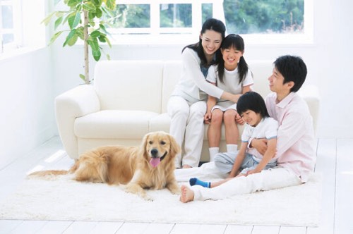 犬と家族がリビングで団欒